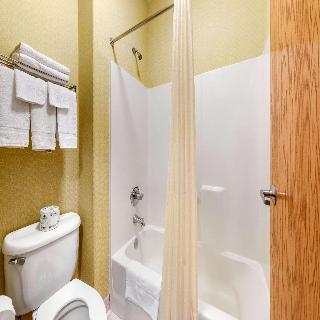 Room Room