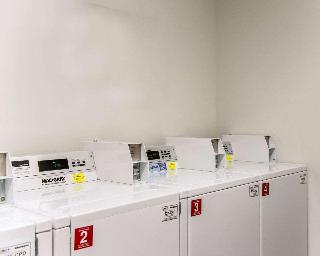 整體概覽