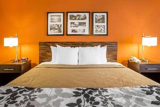 1 King Bed, Nonsmoking, Accessible