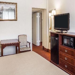 Room Room