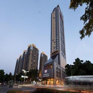 整體概覽