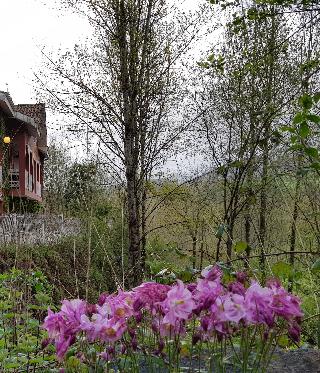 Hotel Azabache Cardes 