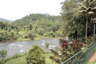 General view
 di Kitulgala Rest House