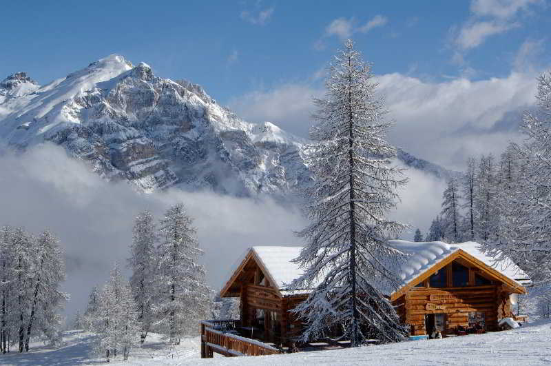 General view
 di La Dame Blanche & Le Parc Aux Etoiles