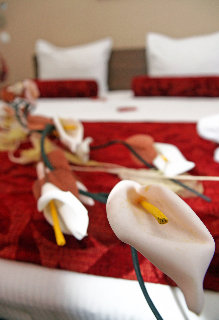 Room
 di Balkan Hotel Garni