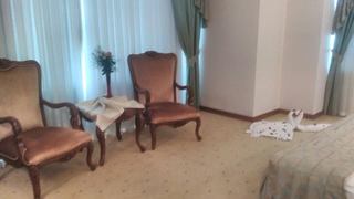 Room
 di Gungor Ottoman Palace Thermal Spa & Congress