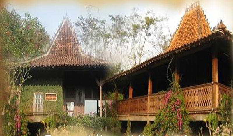 General view