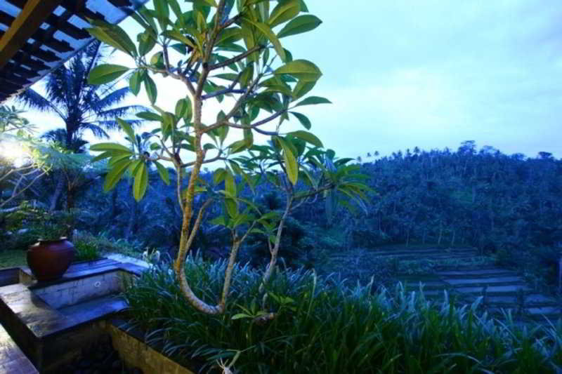General view thumbnail 1