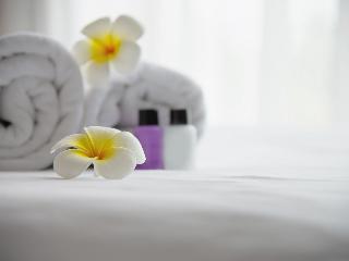 Dalaman Airport Lykia Thermal & Spa Hotel