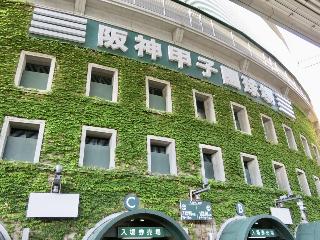 整體概覽