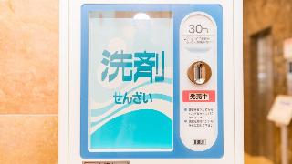 整體概覽