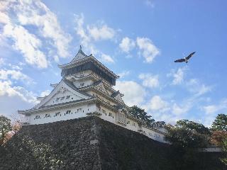 整體概覽