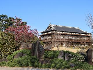 整體概覽