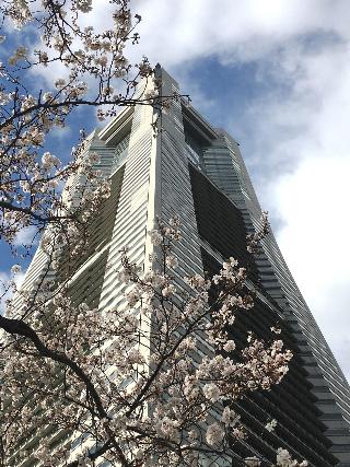 整體概覽