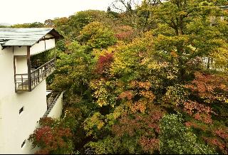 整體概覽