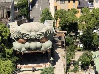 整體概覽