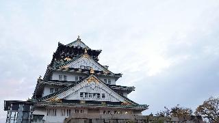 整體概覽