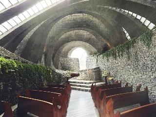 整體概覽