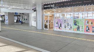 整體概覽