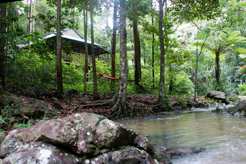 General view
 di Narrows Escape Rainforest Retreat