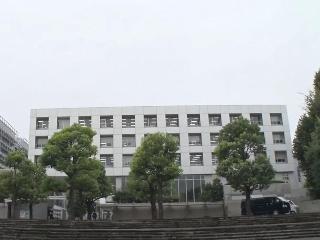 整體概覽