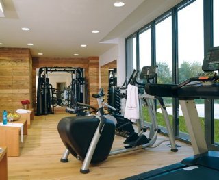 Sports and Entertainment
 di Fire and Ice Dusseldorf Neuss