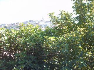 San Marco Fiuggi, Rome