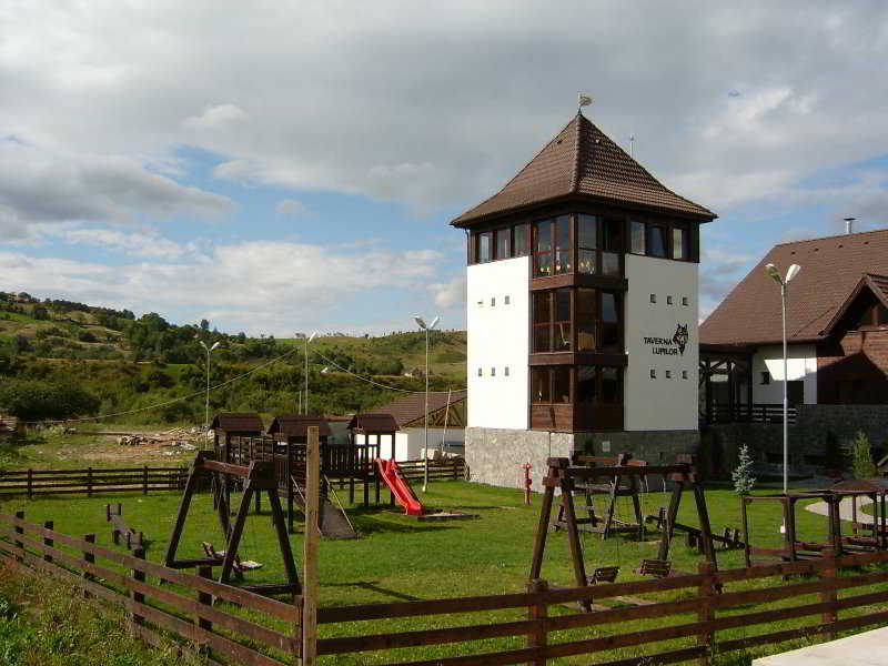 General view
 di Wolf 1