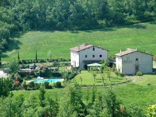 General view
 di Osteria dell Orcia