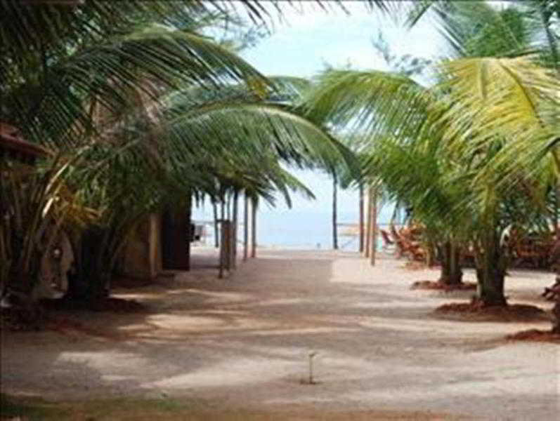 General view
 di Cuba Agonda