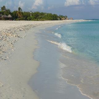 Beach
 di MVC Eagle Beach Aruba