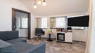 Holiday Inn Bucharest - Times
