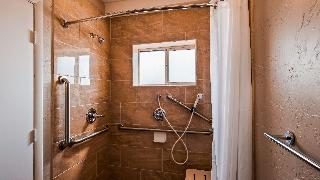 Accessible - 1 King, Mobility Accessible, Communication Assistance, Roll In Shower, Non-Smoking, Ful