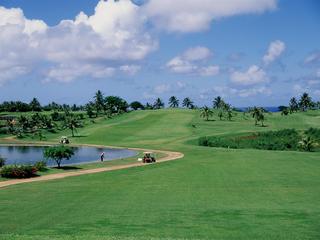 General view thumbnail 38