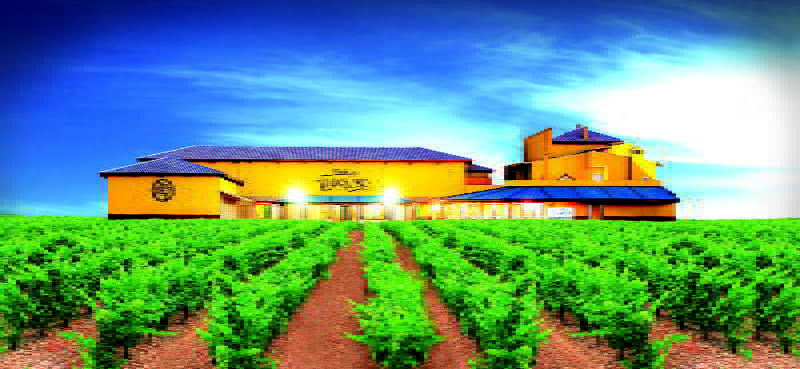 General view
 di Bodegas Viñasoro