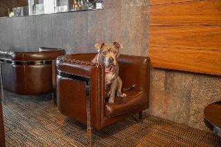 Lobby
 di Hilton Garden Inn Santiago Airport