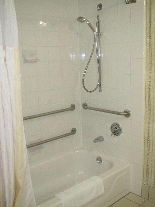 1 King Mobility Accessible W/Bathtub