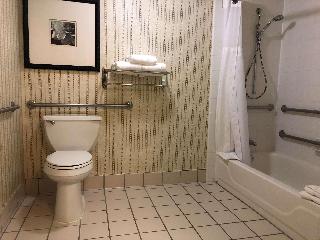 1 King Mobility Accessible W/Bathtub