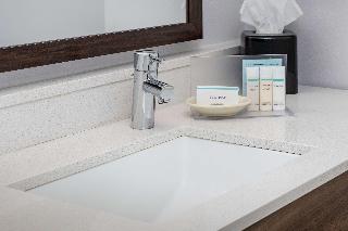 1 Queen Mobility Access W/Tub Nonsmoking
