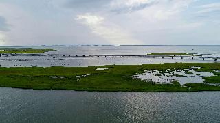 Hampton Inn & Suites Chincoteague-Waterfront