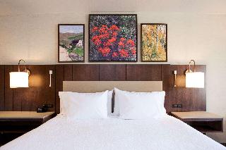 1 King Bed