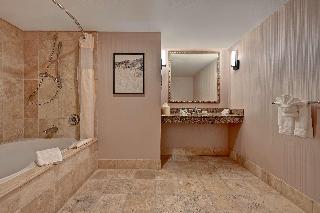 1 Kng 1 Bdrm Ste Mobility/Hearing Access Tub