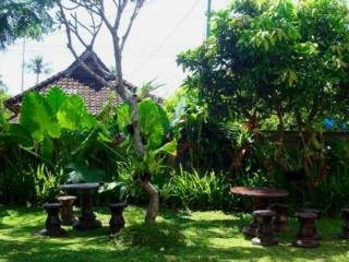 General view thumbnail 5
