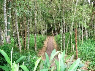 General view
 di Hosteria Sumak Pakari