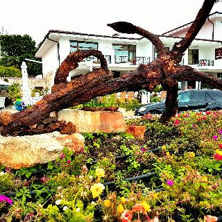 Hotel Palace Marina Dinevi