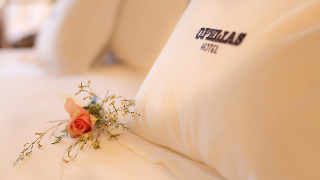 Room
 di Ofelias Hotel