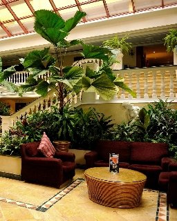 Lobby
 di Iberostar Parque Central