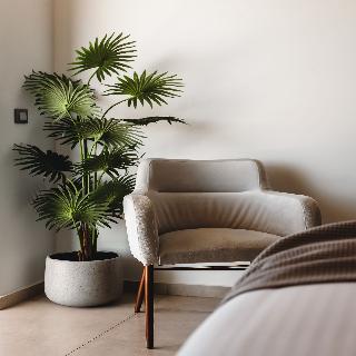 Batis Aero Beachfront Wellbeing Hotel