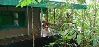 General view
 di Pozo Azul Tent Suites