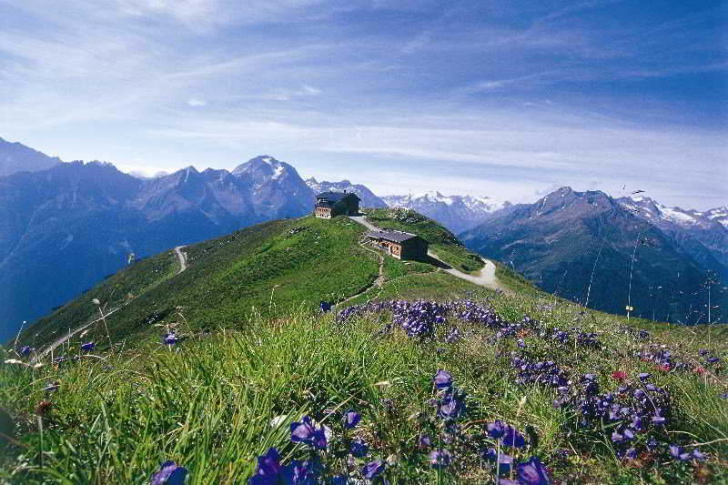 General view
 di Anonyme Appartments Stubaital